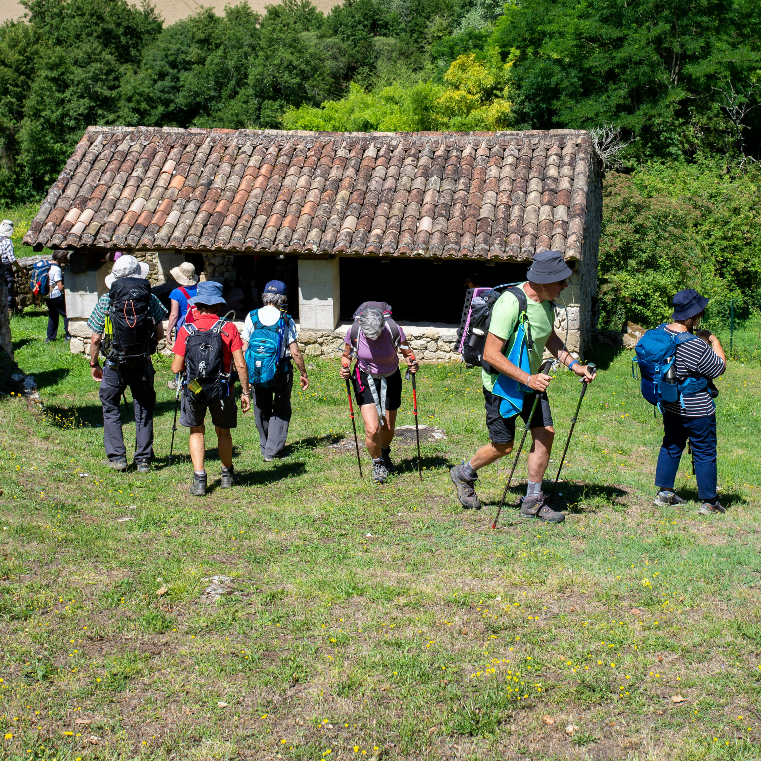 marche nordique paysage