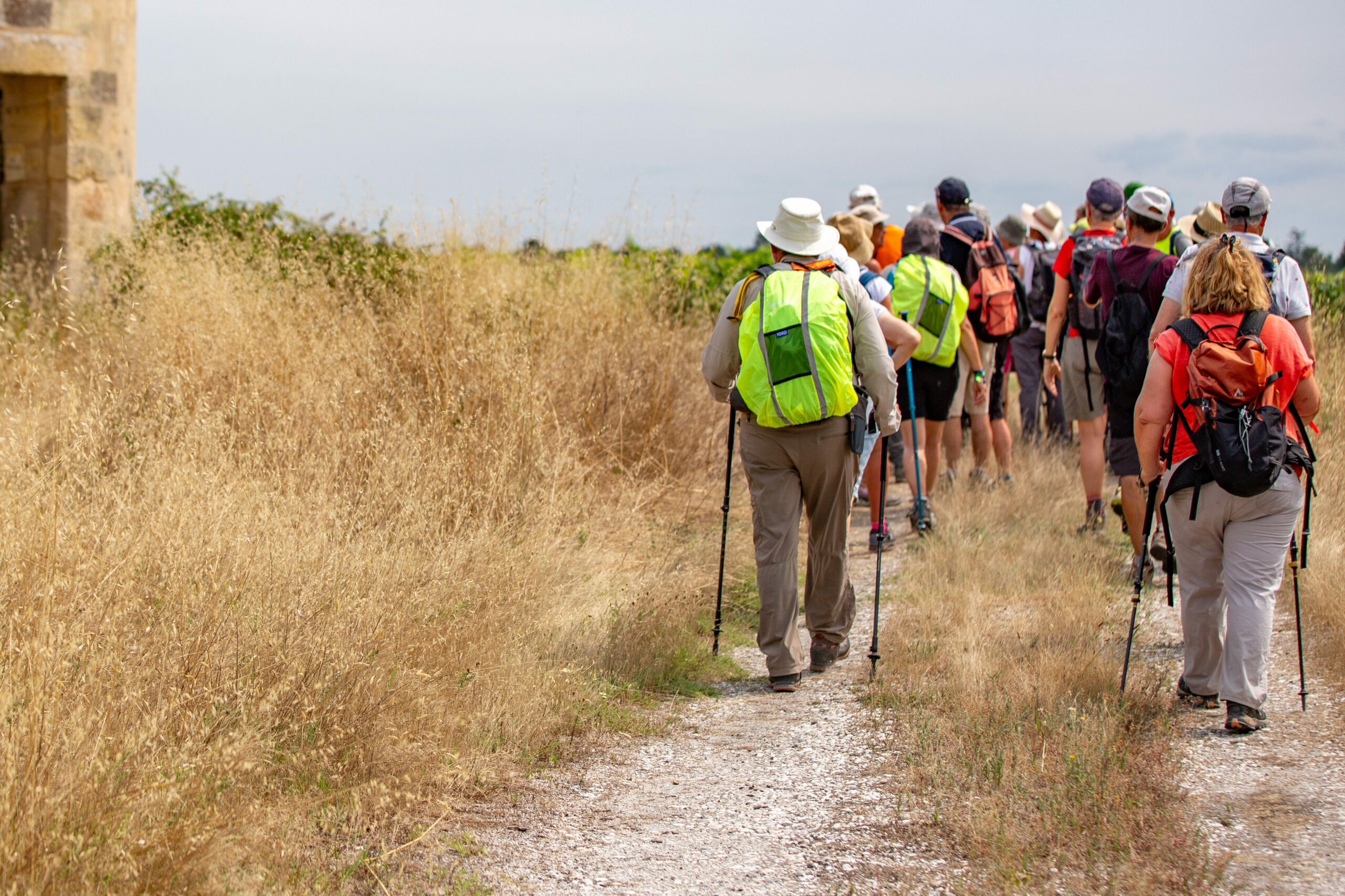 marche-nordique-visite