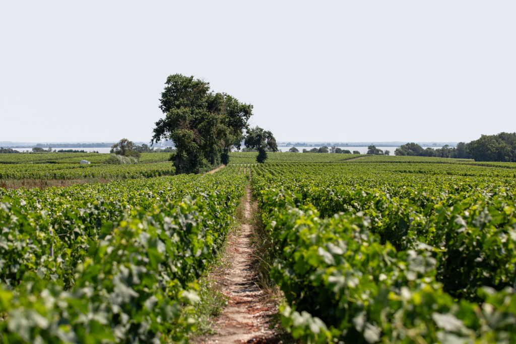 FFrandonnée gironde- balisage des sentiers et itinéraires