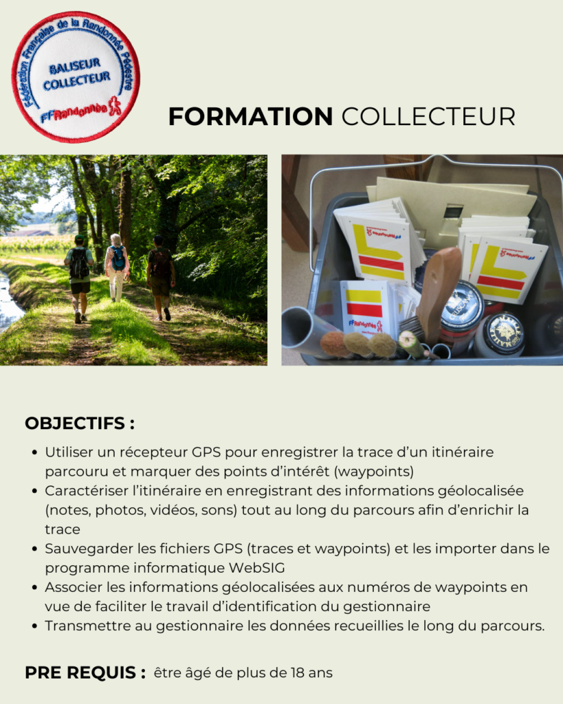 formation collecteur